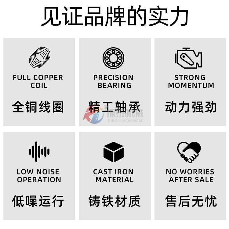 XVM 2.5-2振動(dòng)電機(jī)